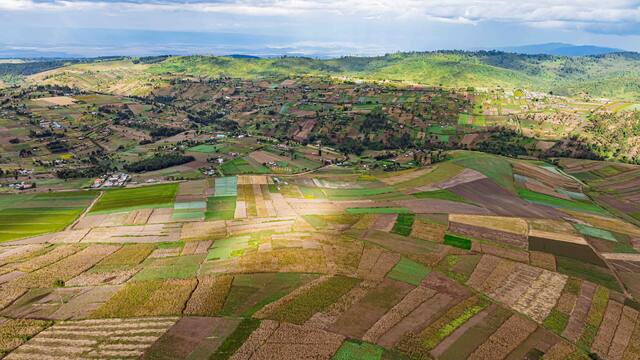 Aerial view of farmland in Kenya